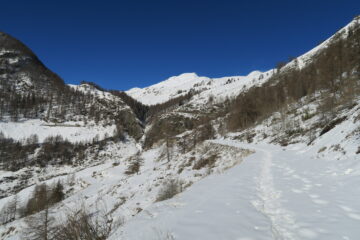 strada poderale tutta ben coperta