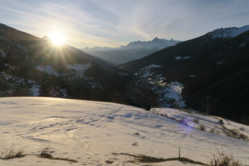 in basso comincia ad uscire l'erba