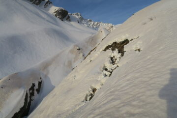 una bella bocca di balena