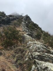 L'attacco della Cresta Sud.