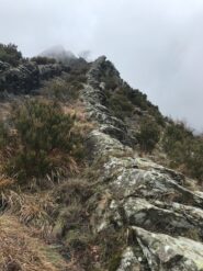 L'attacco della Cresta Sud.