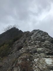 Lo sviluppo intero della via.