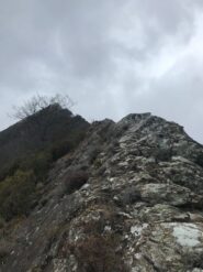 Lo sviluppo intero della via.