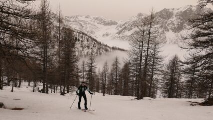 nel lariceto sulla dorsale Sud-Ovest