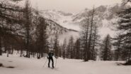 nel lariceto sulla dorsale Sud-Ovest