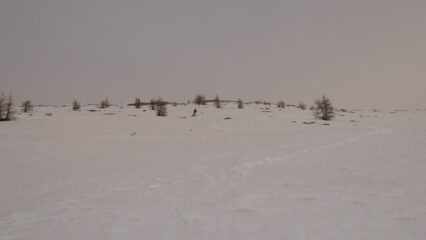 in alto neve portante