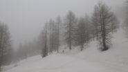 sulla strada