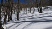 slalom tra i larici