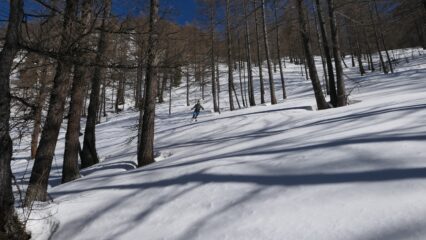 slalom tra i larici