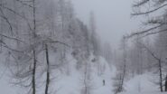 nei pressi di Cialancia Piana