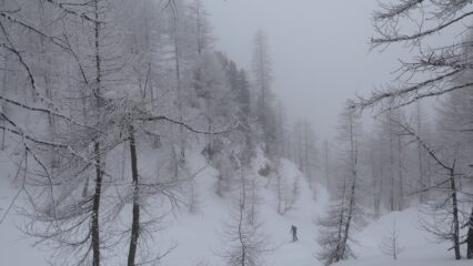 nei pressi di Cialancia Piana
