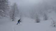 verso il C. delle Basse