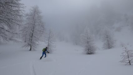 verso il C. delle Basse