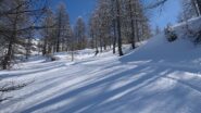 nel vallone sotto il M.Ciabert