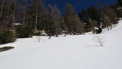 primaverile