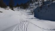 rare zone in farina