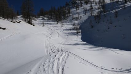 rare zone in farina