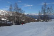 Fuori dal bosco