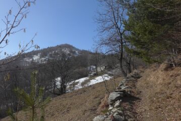 Le Prese del Colombardo