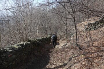 Il bel sentiero per Cordole