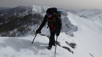 arrivando all'anticima della Punta Farenga