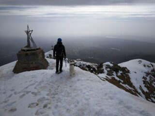 In cima, anche un cane alpinista ci ha seguiti...