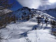 Salendo fin dove finiscono gli alberi. Quota 2350.