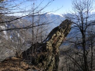 Strutture rocciose: tutte piegate verso ovest.