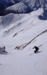 Delia addomestica il canale senza problemi.