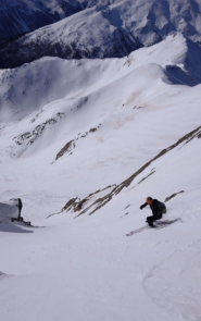 Delia addomestica il canale senza problemi.