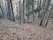 discesa su Chiapetto