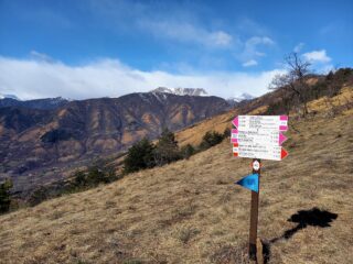Bassa delle Sette