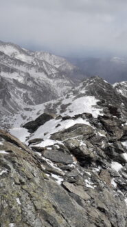 parte alta della cresta ancora delicata..