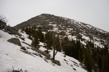 In vista del Monte Rognoso