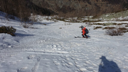 Discesa all'alpe Roc Piat