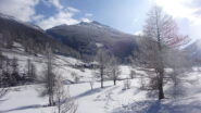 Risalendo la Valle Argentera in vista di Brusà del Plan
