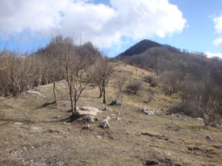 cresta verso il Monte Cremado