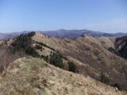 Il crinale percorso visto dal Monte Carmo