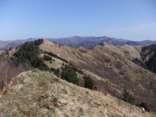 Il crinale percorso visto dal Monte Carmo