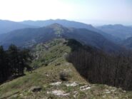 Capenardo dal Monte Bastia Sud