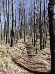 Verso San Nicolao