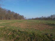 interno parco La Mandria..