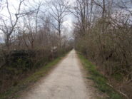 dentro il parco la Mandria..