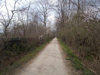 dentro il parco la Mandria..