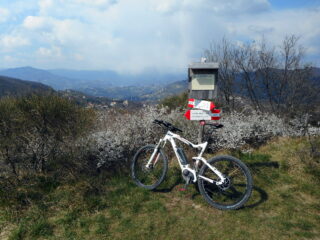 monte Bastia