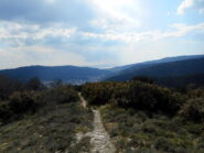 sul Pinasco