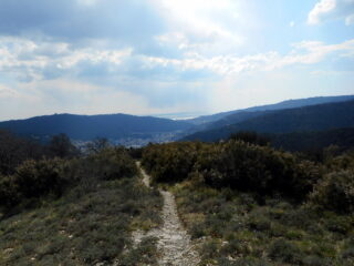 sul Pinasco