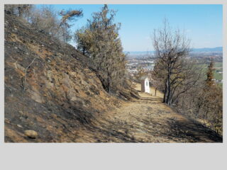Cenere già dall'inizio