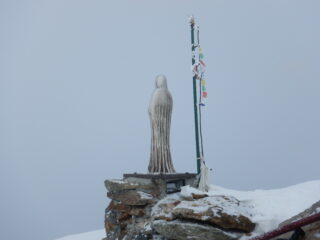 in cima