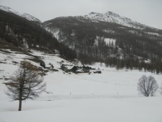 Brusà del Plan